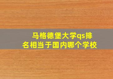 马格德堡大学qs排名相当于国内哪个学校