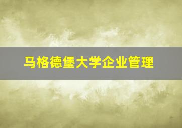 马格德堡大学企业管理