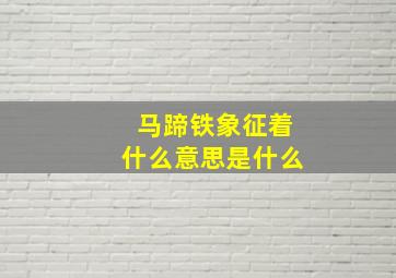 马蹄铁象征着什么意思是什么