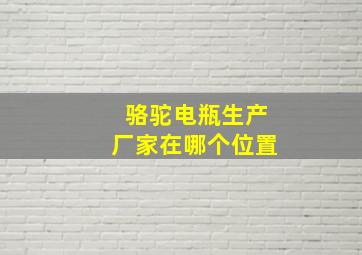 骆驼电瓶生产厂家在哪个位置