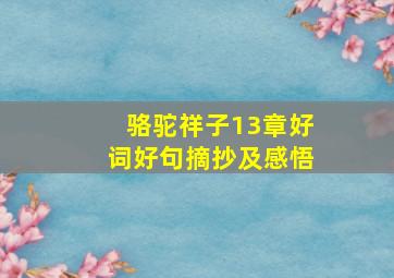 骆驼祥子13章好词好句摘抄及感悟