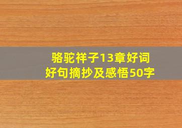 骆驼祥子13章好词好句摘抄及感悟50字