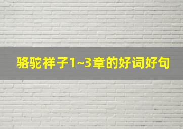 骆驼祥子1~3章的好词好句