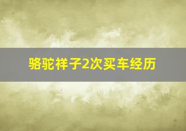 骆驼祥子2次买车经历