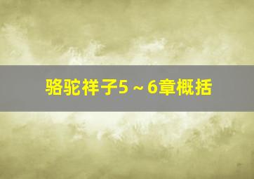 骆驼祥子5～6章概括