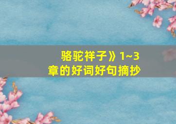 骆驼祥子》1~3章的好词好句摘抄