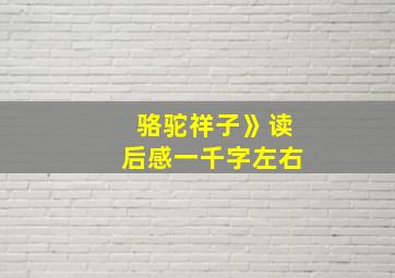 骆驼祥子》读后感一千字左右