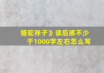 骆驼祥子》读后感不少于1000字左右怎么写