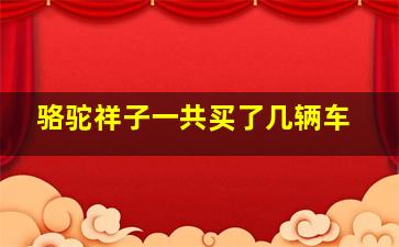 骆驼祥子一共买了几辆车