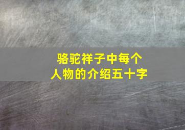 骆驼祥子中每个人物的介绍五十字