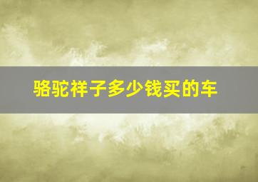 骆驼祥子多少钱买的车