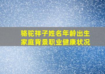 骆驼祥子姓名年龄出生家庭背景职业健康状况