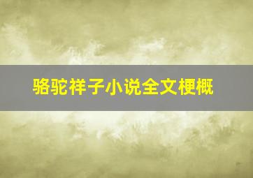 骆驼祥子小说全文梗概