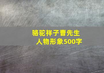 骆驼祥子曹先生人物形象500字