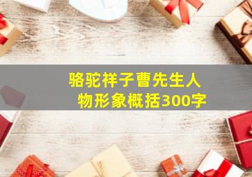 骆驼祥子曹先生人物形象概括300字