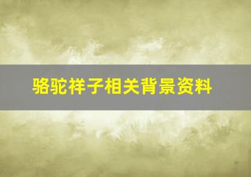 骆驼祥子相关背景资料