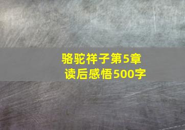 骆驼祥子第5章读后感悟500字