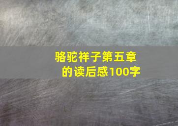 骆驼祥子第五章的读后感100字