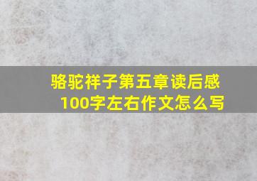 骆驼祥子第五章读后感100字左右作文怎么写