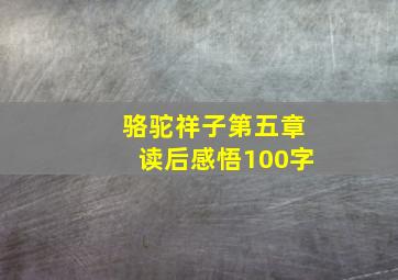 骆驼祥子第五章读后感悟100字