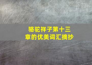 骆驼祥子第十三章的优美词汇摘抄