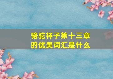 骆驼祥子第十三章的优美词汇是什么