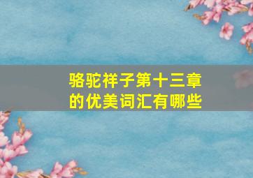 骆驼祥子第十三章的优美词汇有哪些