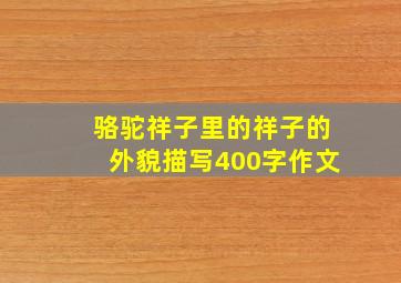 骆驼祥子里的祥子的外貌描写400字作文