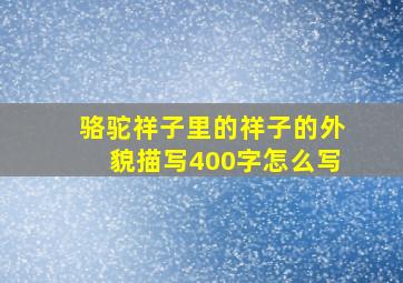 骆驼祥子里的祥子的外貌描写400字怎么写