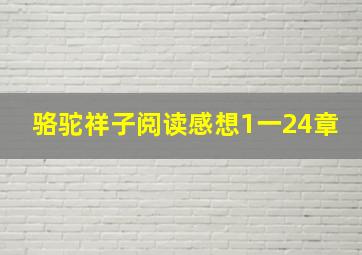 骆驼祥子阅读感想1一24章