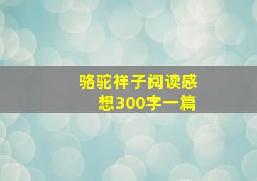 骆驼祥子阅读感想300字一篇