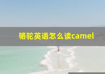 骆驼英语怎么读camel