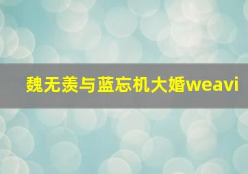 魏无羡与蓝忘机大婚weavi