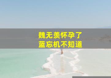 魏无羡怀孕了蓝忘机不知道