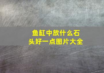 鱼缸中放什么石头好一点图片大全