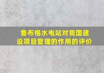 鲁布格水电站对我国建设项目管理的作用的评价