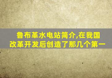 鲁布革水电站简介,在我国改革开发后创造了那几个第一