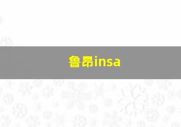 鲁昂insa