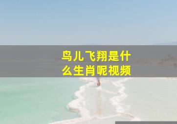 鸟儿飞翔是什么生肖呢视频