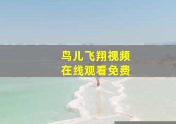 鸟儿飞翔视频在线观看免费