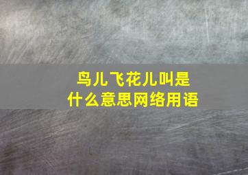 鸟儿飞花儿叫是什么意思网络用语