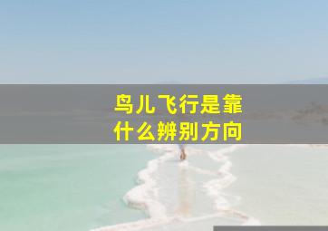 鸟儿飞行是靠什么辨别方向