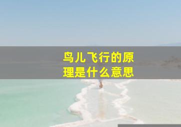 鸟儿飞行的原理是什么意思