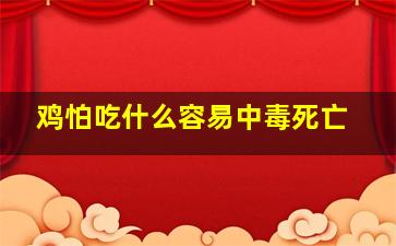 鸡怕吃什么容易中毒死亡