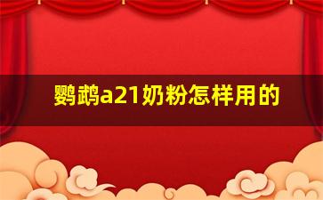 鹦鹉a21奶粉怎样用的