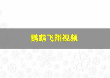 鹦鹉飞翔视频