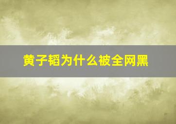 黄子韬为什么被全网黑