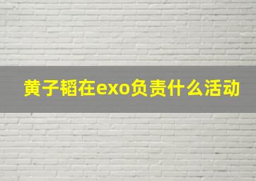 黄子韬在exo负责什么活动