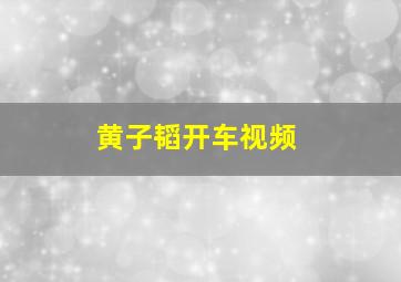 黄子韬开车视频