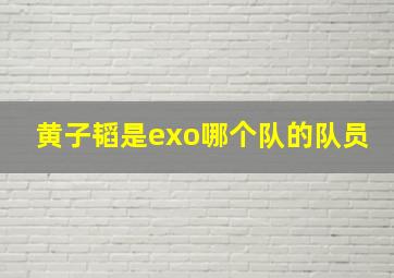 黄子韬是exo哪个队的队员